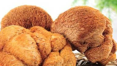 猴头菇多少钱一斤 猴头菇能治胃病吗？