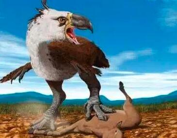世界上最大的鸟，骇鸟高达3米，却因是恐龙后代惨遭灭绝